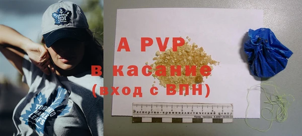 дживик Белокуриха
