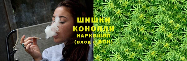 дживик Белокуриха