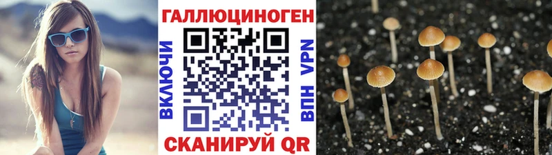 Галлюциногенные грибы Magic Shrooms Белорецк